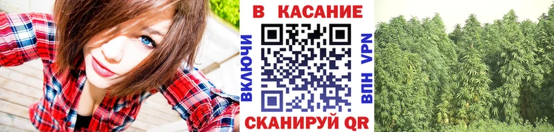 Где купить Беломорск ТГК  КОКАИН  APVP  Меф  ГАШИШ 