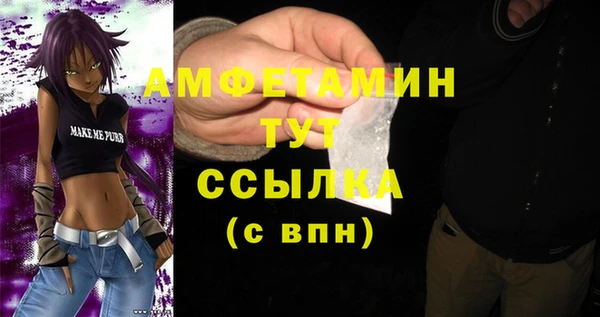 шишки Дмитриев