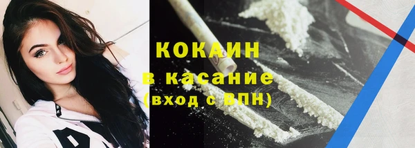 шишки Дмитриев