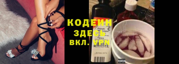амф Дмитров