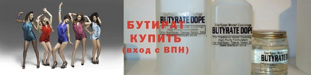 шишки Дмитриев