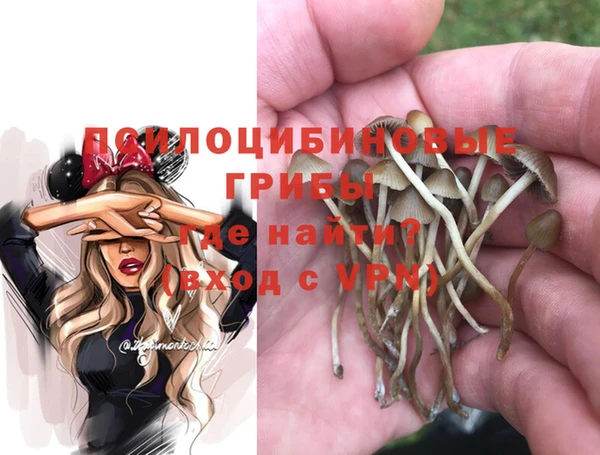 шишки Дмитриев