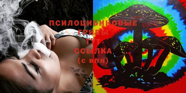 амф Дмитров