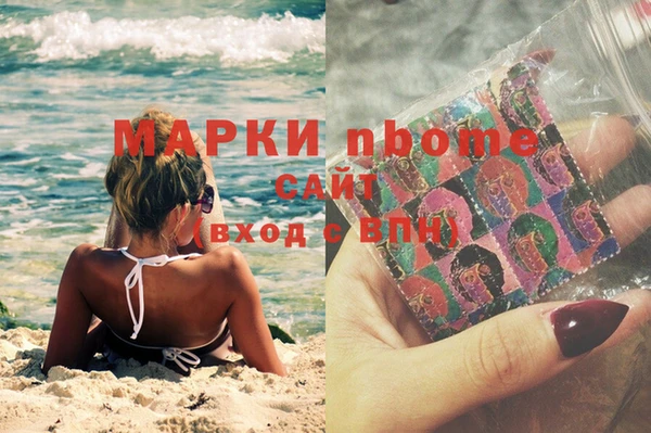 шишки Дмитриев