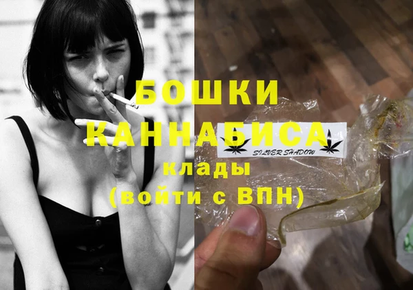 амф Дмитров