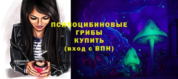 шишки Дмитриев