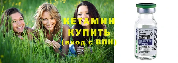 шишки Дмитриев